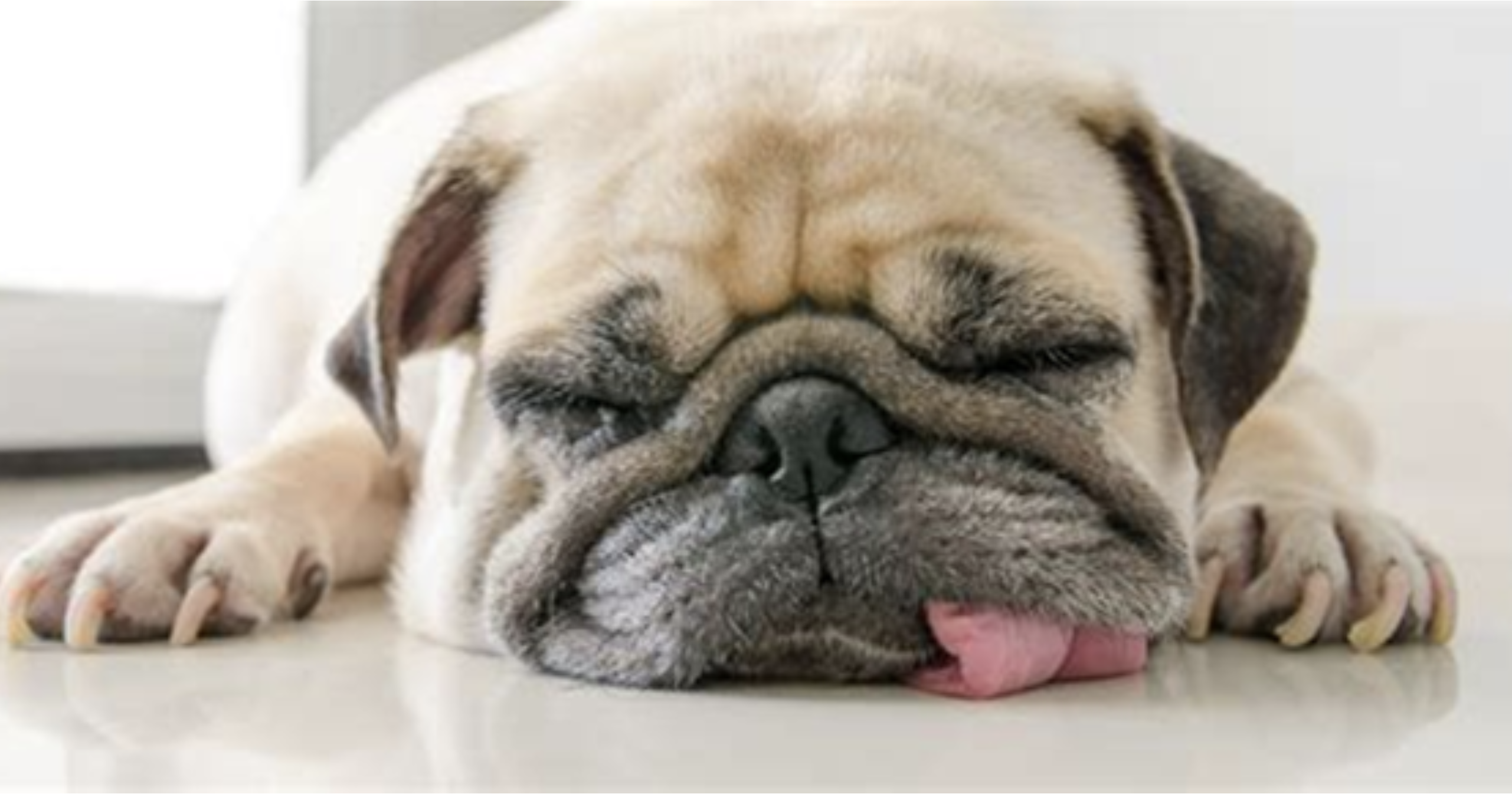 Inactive Data: Keep, Delete, or Virtualize?